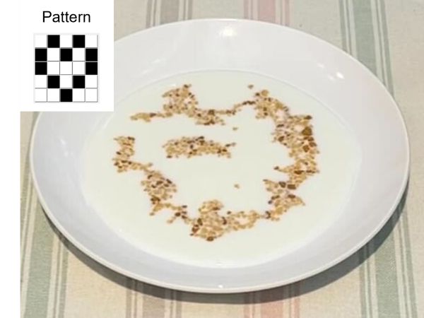 Dishplay：シリアルの磁気応答を利用した可食ディスプレイシステム のサムネイル