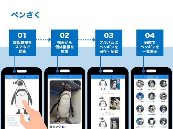 ペンさく：描いて探すことで深まるペンギン観察手法と水族館来訪者を対象とした実証実験 のサムネイル