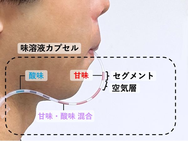 TasteFlow Tube: 単一チューブ内の味溶液カプセルによる味の時間変化提示デバイスの提案 のサムネイル