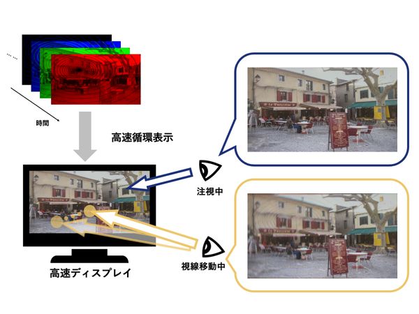 高速ディスプレイによる視線移動依存型視線誘導手法のカラー画像適用 のサムネイル